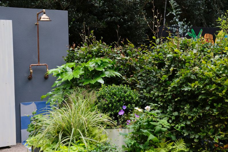 Eco-Friendly Options